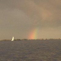 SauterWijnen (@sauterwijnen) 's Twitter Profile