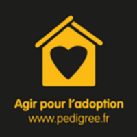 Agir pour l'adoption(@PedigreeFR) 's Twitter Profileg