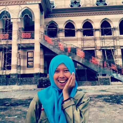 ELINS UGM 2012