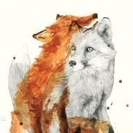 Kichirou_kun's profile picture. 