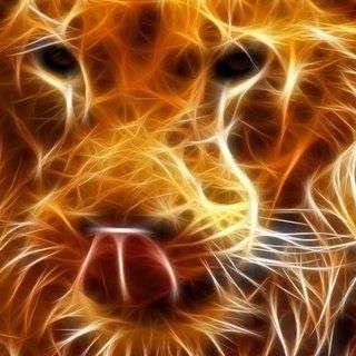 CHooper_'s profile picture. Make a difference - Contribute! Build the future. My goal each and everyday.