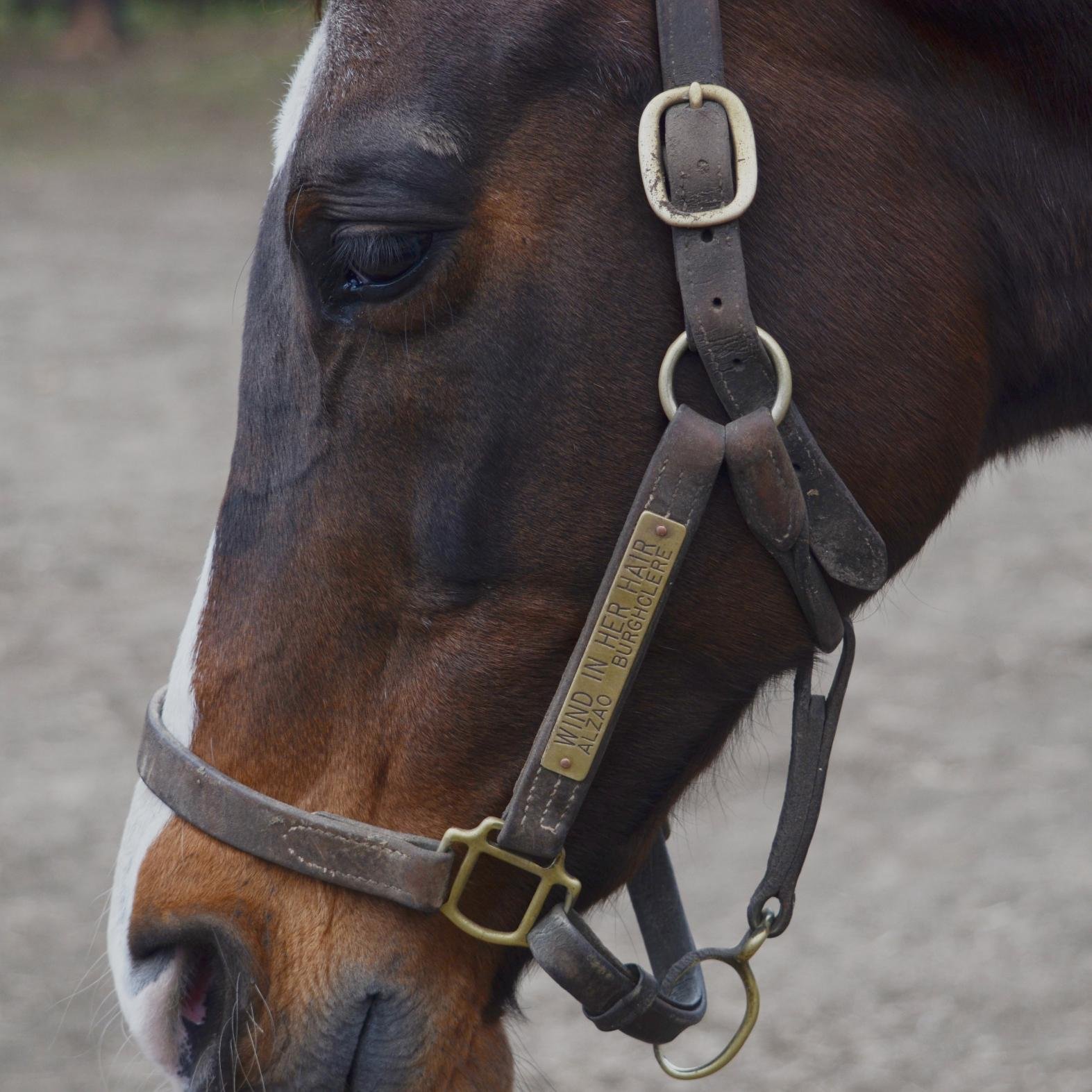 札幌の印刷屋でMACオペやってます。競馬なら中央・地方はもとより、ばんえいまでこよなく愛してます。ソフトバンクとアップルに不信感バリバリのiPhoneユーザーです。（ついでに、Adobeも嫌い。）