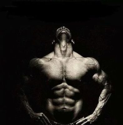 UFC »                                                                                      My favorite pastime.