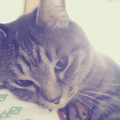 @akyaryyy13 のほう使ってます！こっち使ってません〜。高中３C⇒畷学３年のAPEX ☻ ☻