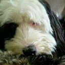 Joyce Roberts - @joycemroberts31 - Twitter