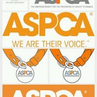 ASPCA (@joinaspca) 's Twitter Profile