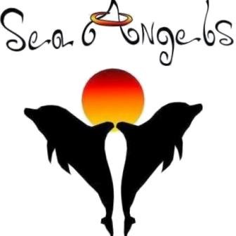 The Sea Angels are a 501(c)(3) nonprofit, environmental conservation organization located in Palm Beach County, Florida. We are the leaders in Green cleanups.