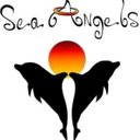 Michael Halasz - @SeaAngels_Beach - Twitter