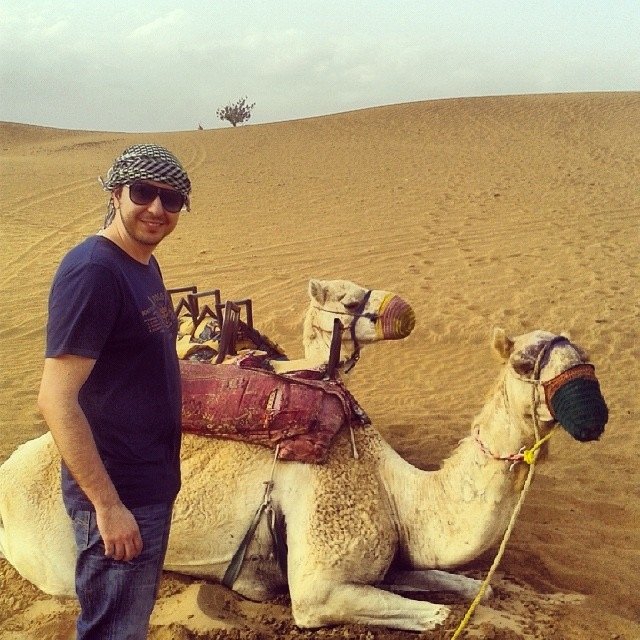 nfantaou's profile picture. 