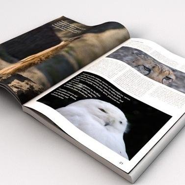 dlusmagazine's profile picture. Collecting articles from top US magazines: Time, Fortune, Forbes, Foreign Affairs, Foreign Policy, etc.