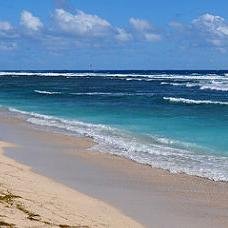 manonbbanks's profile picture. 