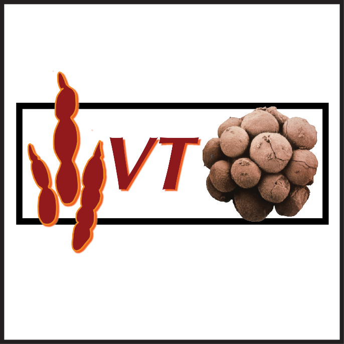 VT Paleobiologyさんのプロフィール画像