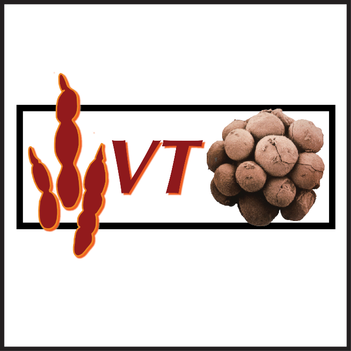 Paleobiology and Geobiology Research Group at Virginia Tech. Origin of major clades, biotic response to global changes, extinction, and taphonomic processes.