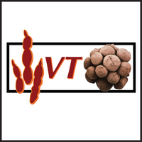 VT Paleobiology (@vtechmeetspaleo) 's Twitter Profile