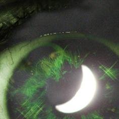 NGesprache's profile picture. Worte wirken und so lang sie präsent sind