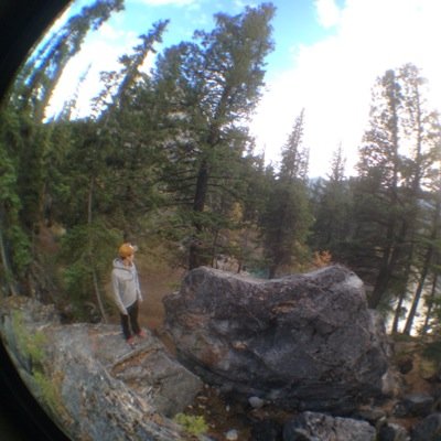 RSpitz's profile picture. 