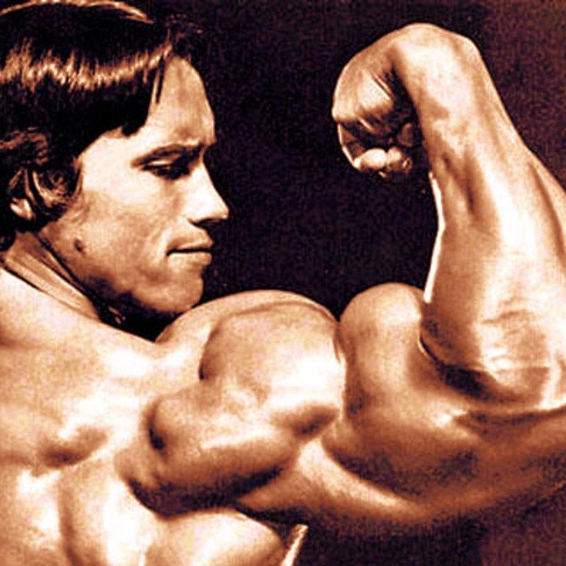 Bob_le_sportif's profile picture. 