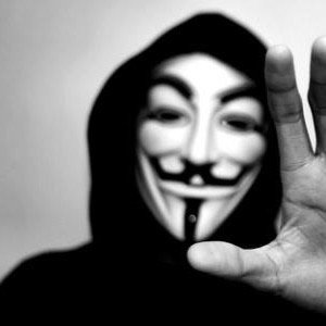 NetFixed's profile picture. 