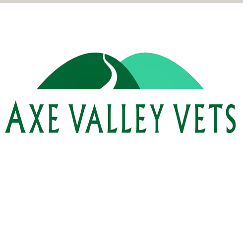 Axe Valley Vets