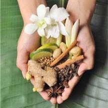 BravoTeas's profile picture. 