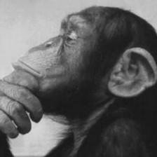 troyparadee's profile picture. 