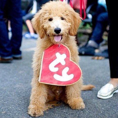 hudsonthegd's profile picture. 