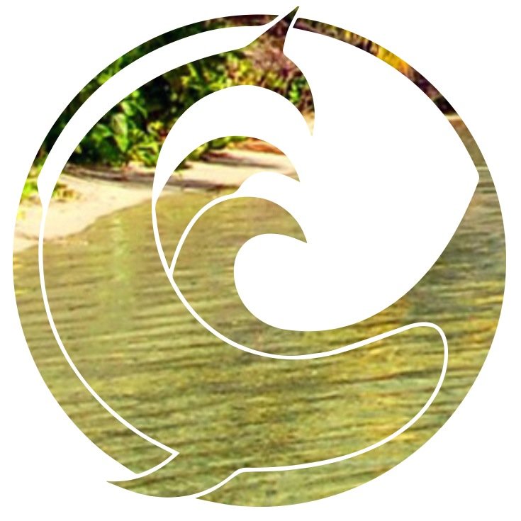 808outfitters's profile picture. Hawaiian surf clothing brand. 100% organic cotton garments produced right in the United States of America, printing with eco friendly inks. Spring 2015.