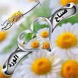 @dooooob111 هذا حسابي الجديد.