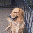 jose gregorio vargas - @jgvargas34 - Twitter