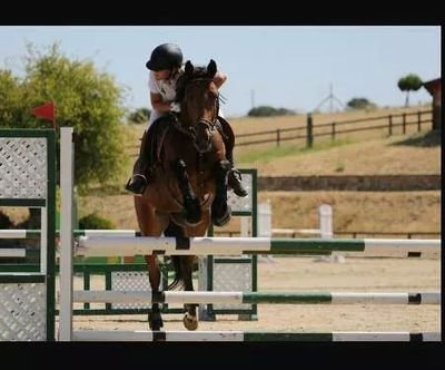 Æ Eventing Rider