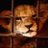 terhiriso1988's profile image