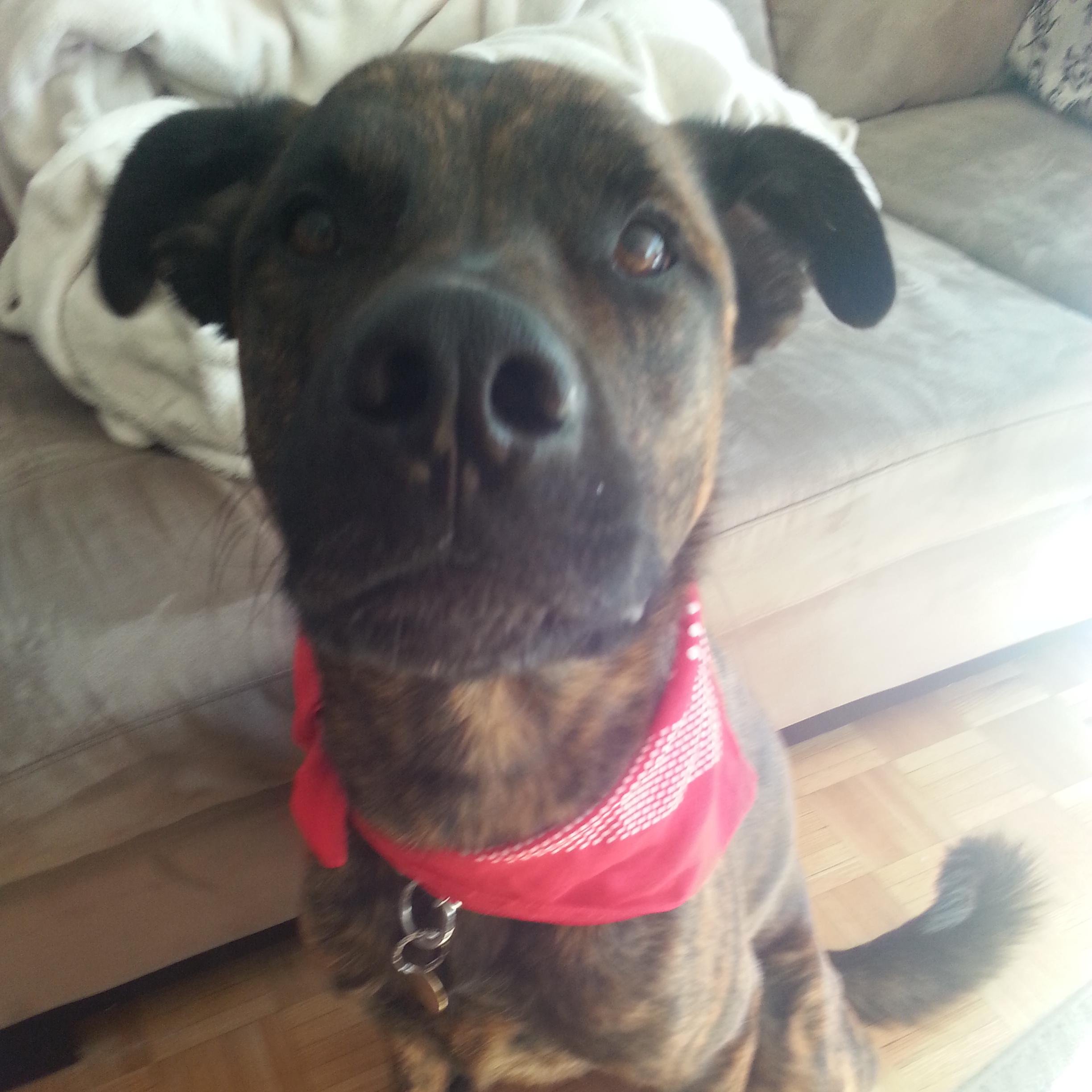 HHolditch's profile picture. I like to sit down at concerts.