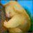acrubnaipeg1970's profile image