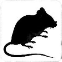 RatsRecords_Mx's profile picture. el apoyo a bandas mexicanas y extranjeras bienvenidas.
supporting bands,if they want to present their music in Mexico,welcome foreign bands