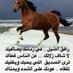 badr s (@badr050466s) Twitter profile photo badr s (@badr050466s) Twitter profile photo