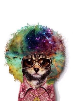 Jared_Koski's profile picture. 