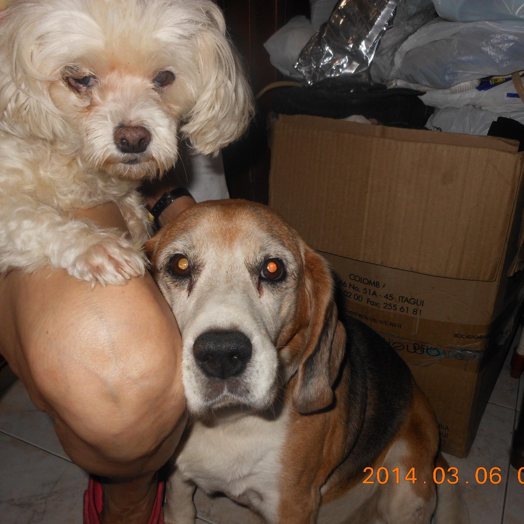 herreratrujill3's profile picture. 