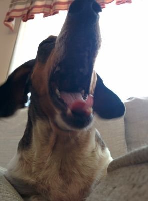 MemorysNMoments's profile picture. 