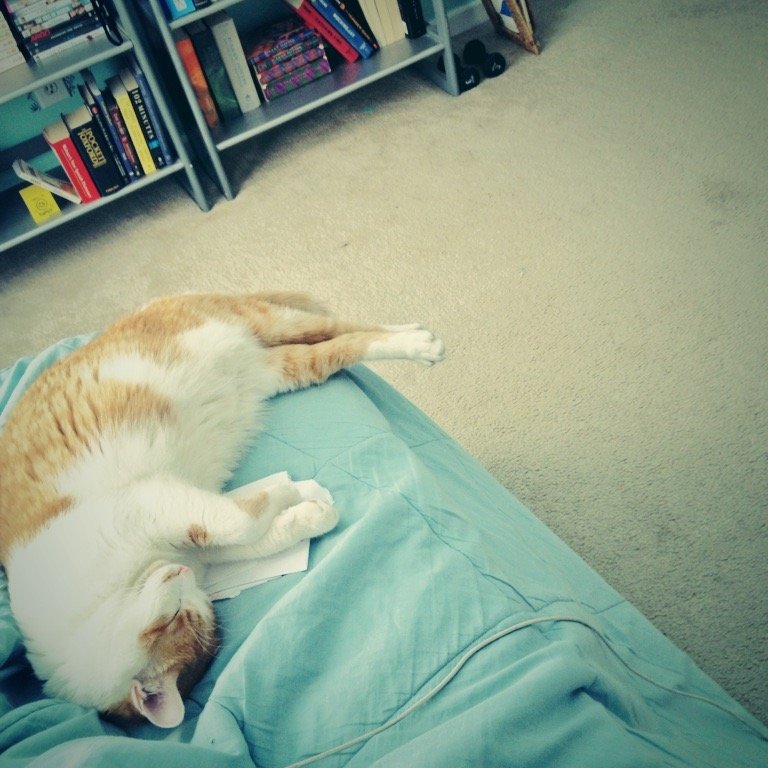 sarahhhhhhhh33's profile picture. 