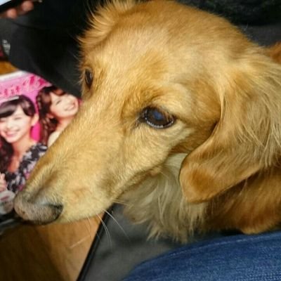 中村 由香里 Yoshinari1477 Twitter 中村 由香里 Yoshinari1477 Twitter
