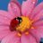 kaiburema1978's profile image