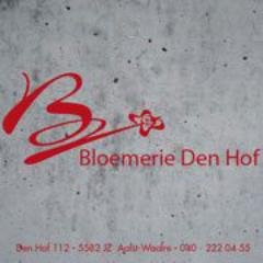 Bloemerie Den Hof is sinds 6 mei 1999 gevestigd in Winkelcentrum Den Hof in Waalre.  Tevens kunt u 24 uur per dag uw bloemen bestellen via onze webshop.