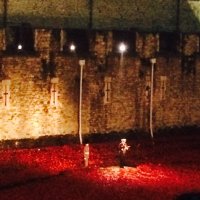 Dr Michelle Wisbey (@wisbey06) 's Twitter Profile Photo