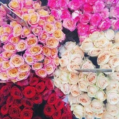 صباح الخير يا سوريا Yhbsjhdysjsjshs Twitter