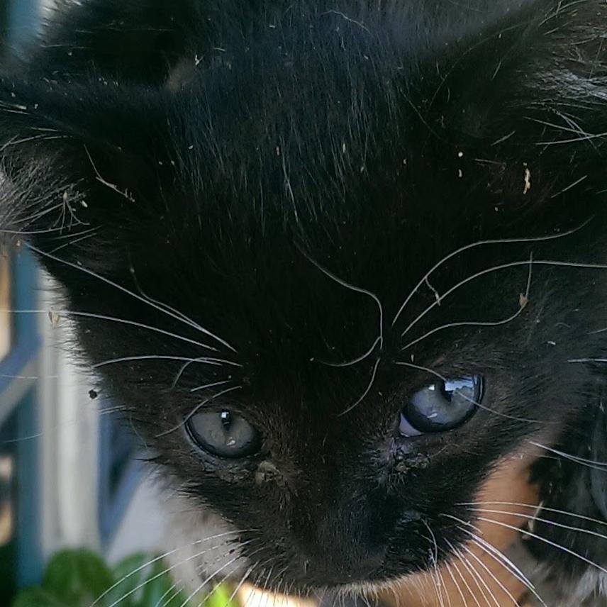 januarynj's profile picture. 