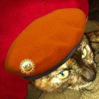 Morrigan Da Brat (@morrigan_kitteh) 's Twitter Profile Photo Morrigan Da Brat (@morrigan_kitteh) 's Twitter Profile Photo