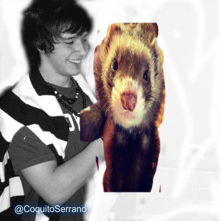 @cocoelhuronOk Coquito es el hijo de @julianserano01 
y Mamá de @orisabatini La familia mas hermosa...
Aguante Coquito