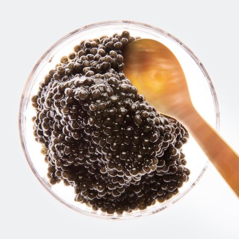 Seattle Caviar Profile