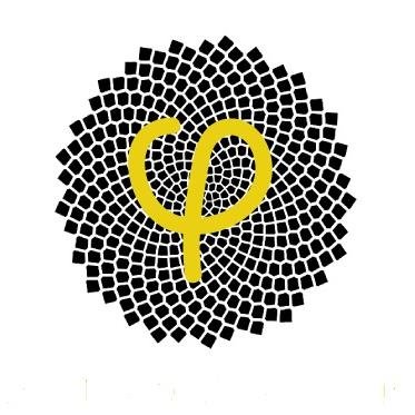 Fibonacci’s purpose is to bridge the technological gap among our global community through IT outreach and education.
