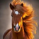 John Plett - @plettjg - Twitter